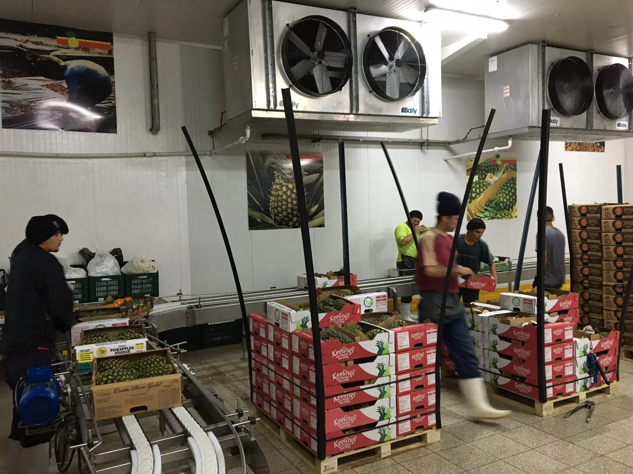 Mexico, Central, & South America